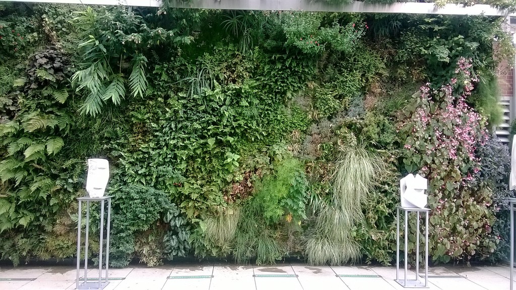 Mur végétal