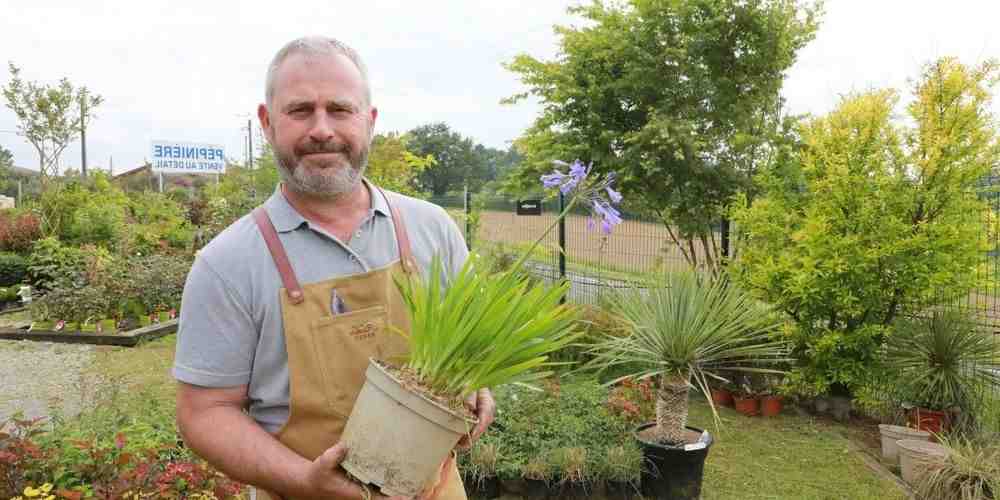 Comment acheter des plantes?