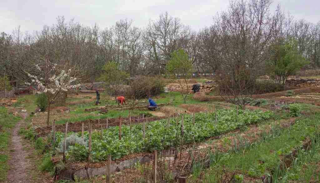 Quand commencer à préparer votre jardin?