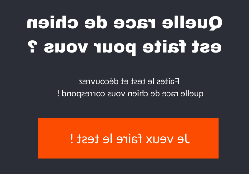 Quelle activité pratiquer?