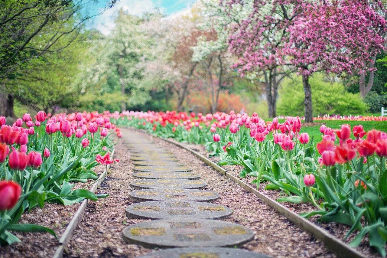 aménager son jardin