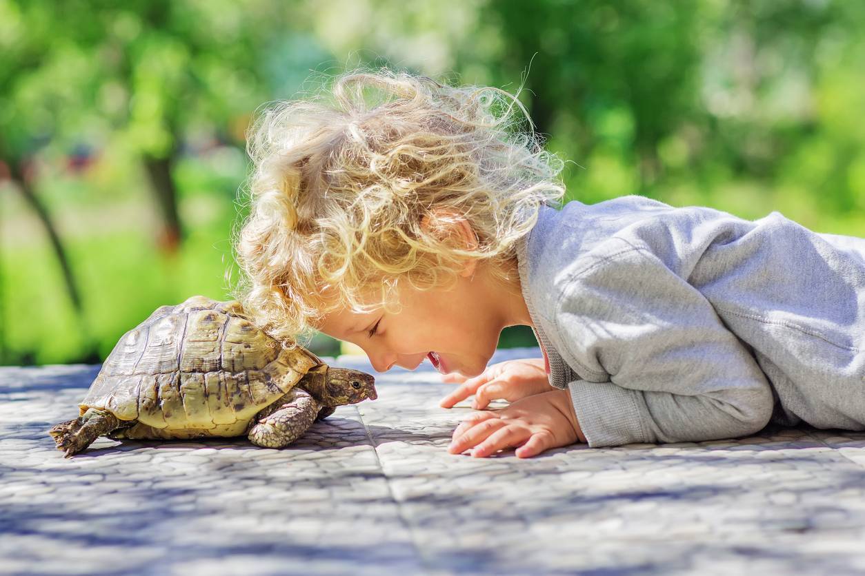 déco chambre d'enfant sur le thème des tortues