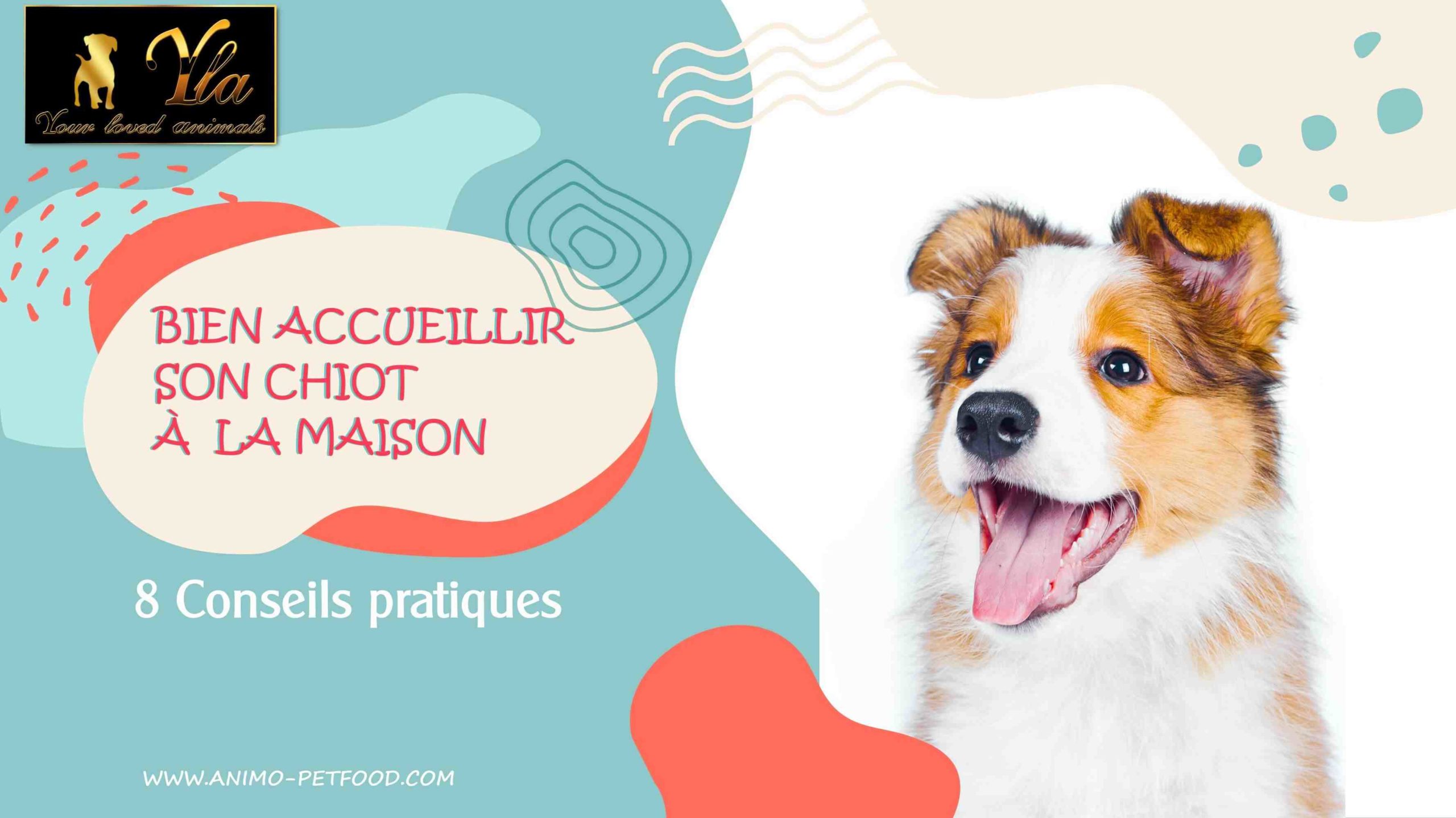 Comment s'équiper pour accueillir un chiot ?