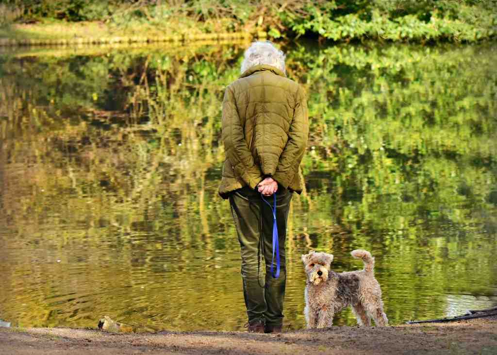 Quel chien pour une mamie ?