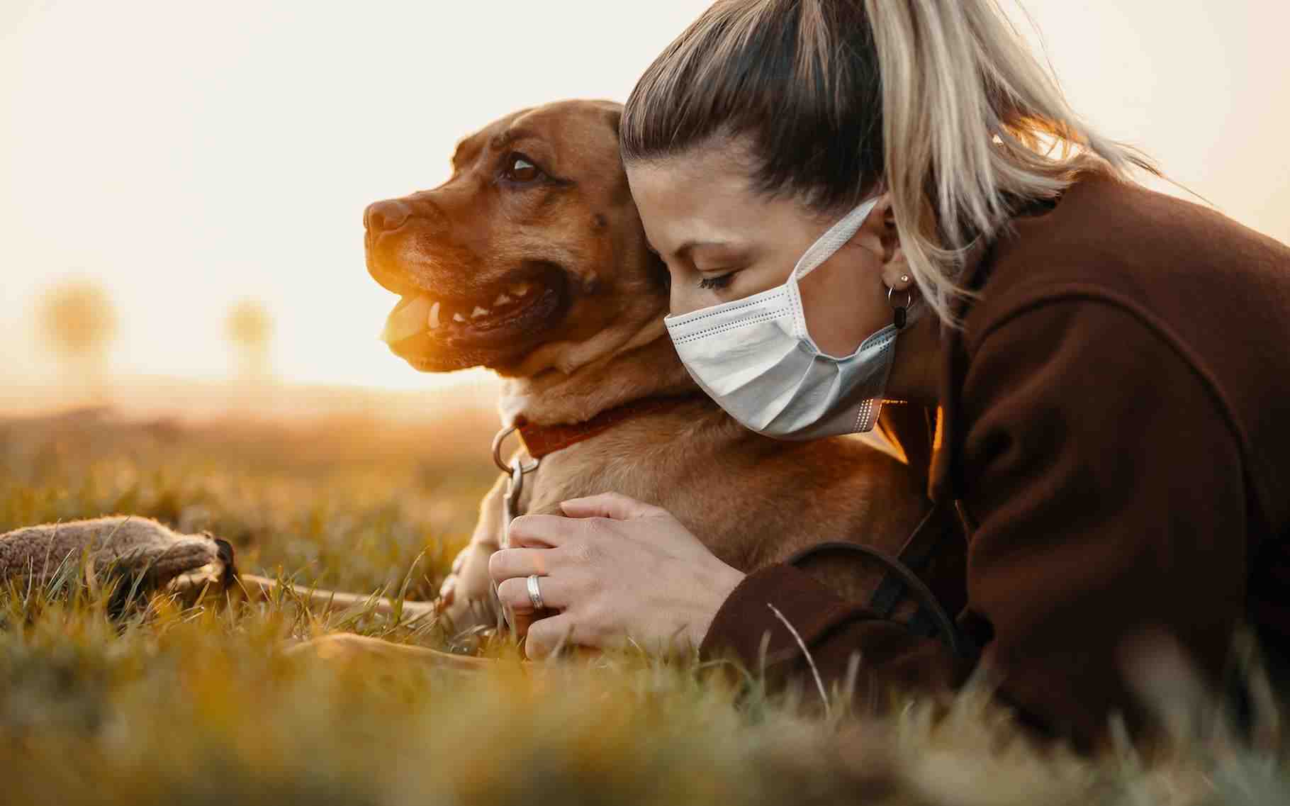 Quel est le chien idéal pour une famille ?