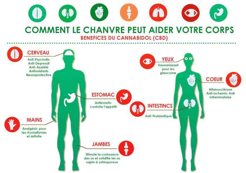 Quels sont les bienfaits du CBD ?