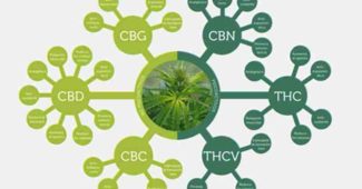 Quels sont les bienfaits du CBD ?