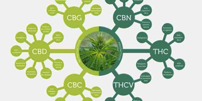 Quels sont les bienfaits du CBD ?