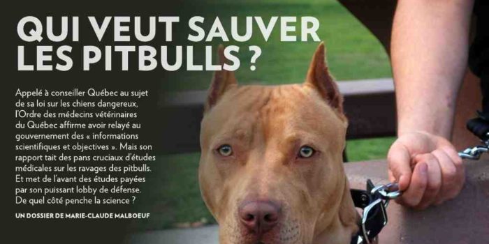 Quels sont les chiens les plus forts ?