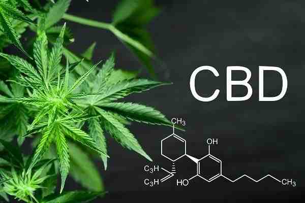 Quels sont les effets du CBD ?