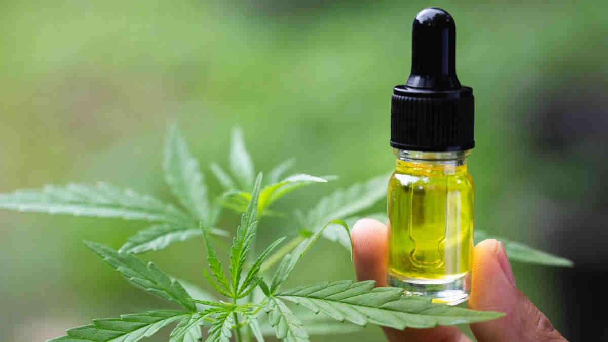 Qui a le droit de vendre du CBD en France ?