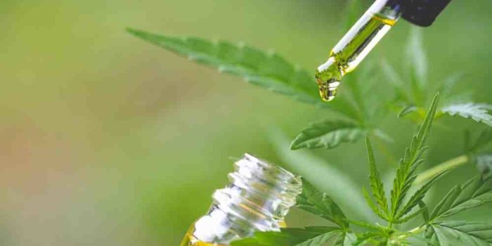 Qui peut prendre du CBD ?