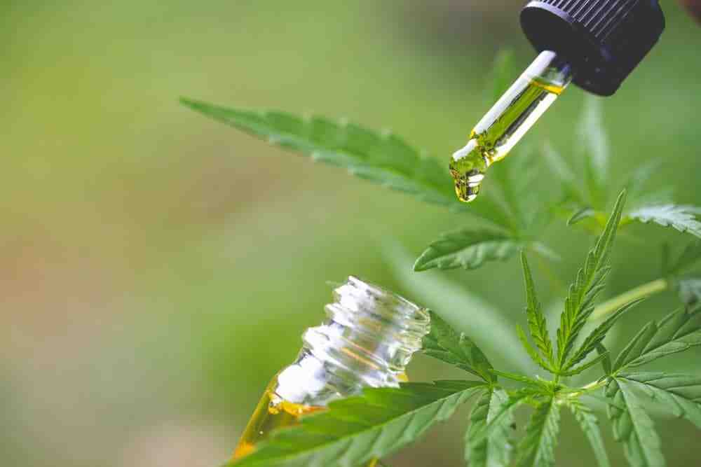 Qui peut prendre du CBD ?