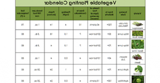 Calendrier des semis