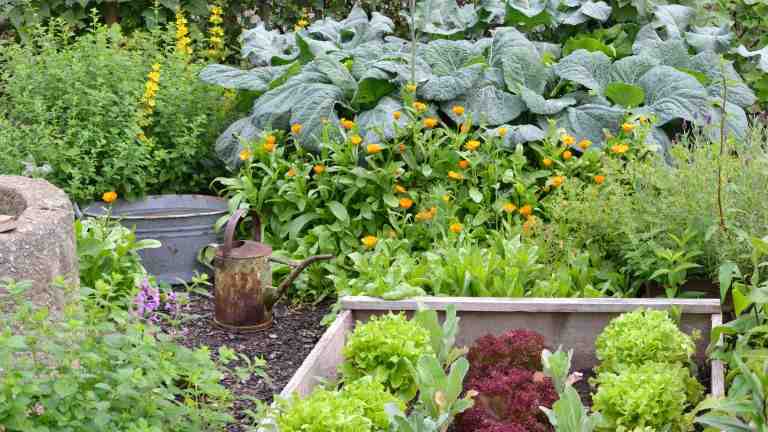 Comment préparer un carré de jardin ?