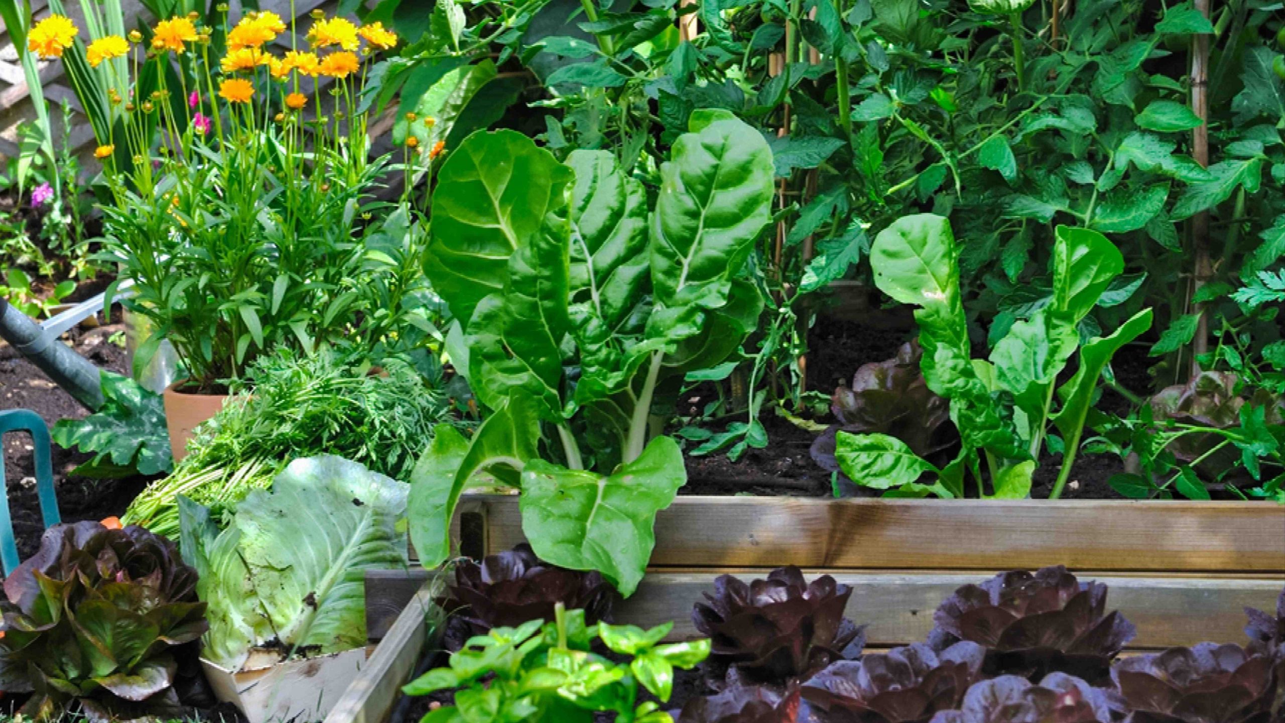 Quel mois pour préparer le jardin ?