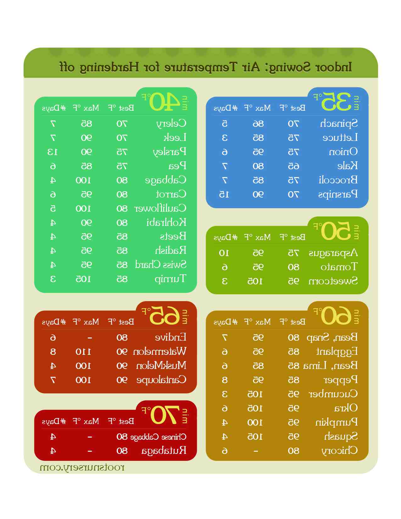 Qu'est-ce qu'on peut planter maintenant ?