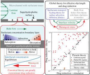 Comment remplacer le tensioactif SCI ?