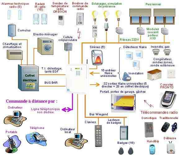 Quel est la différence entre automatique et automatisme ?